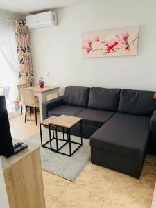 a living room with a black couch and a table at Apartamento San Pascual, 289 in Torrevieja
