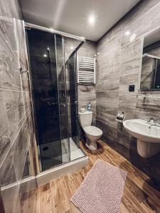 W łazience znajduje się prysznic, toaleta i umywalka. w obiekcie Pokoje Gościnne Sylwia w mieście Krynica Morska
