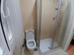 a bathroom with a toilet and a glass shower at A casa de Xues in Pontevedra