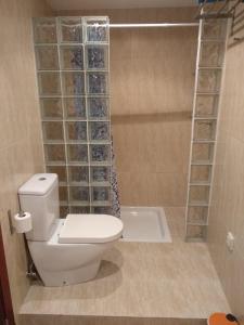 a bathroom with a toilet and a shower at Apartamentos A Casa da Herba in Redondela