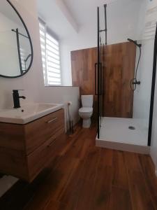 a bathroom with a shower and a sink and a toilet at Noclegi Michaś in Krasnobród