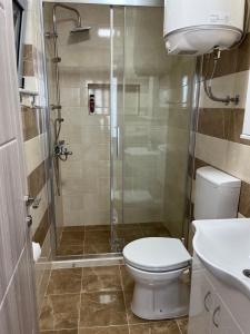 een badkamer met een toilet en een glazen douche bij Apartments MASIMO in Donji Štoj