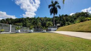 Un jardín fuera de Palm's Bohemian House with Private Pool