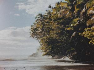 ゲストハウスの近くで見られる自然の景観