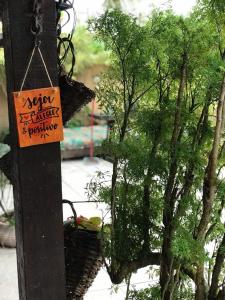 Hostel Lagoa do Sol外面的花园