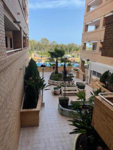 Vonkajšia záhrada v ubytovaní APARTAMENTO ZONA MARINADOR, CERCA A LA PLAYA