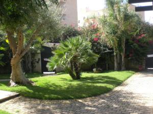 un jardin avec des palmiers et un trottoir en briques dans l'établissement Villa Solare, à Noto Marina