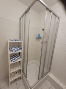 y baño con ducha y puerta de cristal. en Waldemar-Appartement, en Rostock