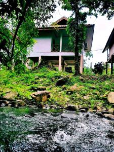 a house on a hill next to a stream at Malulee KhaoSok Resort in Khao Sok