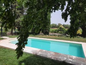 una piscina in un cortile alberato di Montresora, villa con piscina privata tra il Lago di Garda e Verona a Sona