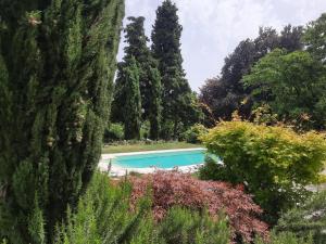 una piscina in un giardino con alberi e cespugli di Montresora, villa con piscina privata tra il Lago di Garda e Verona a Sona