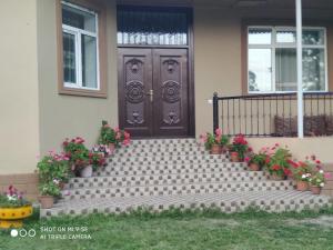 a front door of a house with potted flowers at Villa in Qabala in Gabala