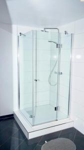 um chuveiro com uma porta de vidro na casa de banho em Blumenberg Ferienwohnung em Hamburgo