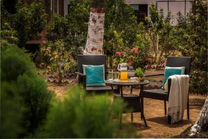 two chairs and a table in a garden at Mariners Bay Beach Resort in Arambol