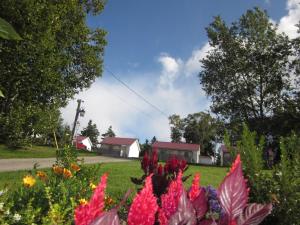 Zahrada ubytování Skyline Cabins