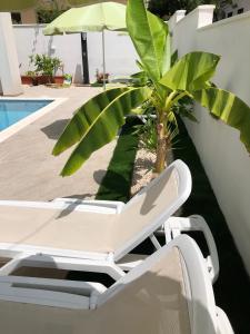 a white lounge chair sitting next to a palm tree at Diklo beach rooms-Adults Only in Zadar