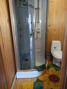 La salle de bains est pourvue d'une douche et de toilettes. dans l'établissement Котедж "Хата Рибака", à Kossiv
