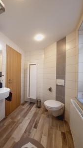 a bathroom with a toilet and a sink at Unsere Ferienwohnung in Lengenfeld. in Lengenfeld