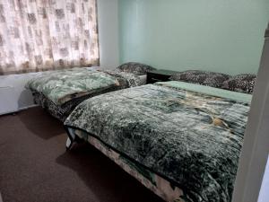 Кровать или кровати в номере Mount Budget Accommodation