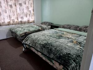 a room with two beds and a window at Mount Budget Accommodation in Tauranga