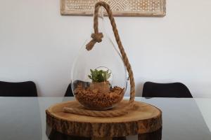 a glass bowl on a wooden table with a plant in it at Ático 4 dormitorios cerca de la playa con gran terraza y 2 parkings in Roquetas de Mar