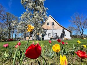 un campo de flores frente a una casa en Zum Heuerling Ferienwohung Leinenstube mit Sauna, en Versmold