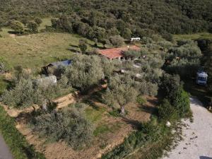 Vue aérienne d'une maison sur une colline arborée dans l'établissement Le Camping de Cucugnan, à Cucugnan