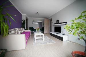 a living room with a purple couch and a tv at Oasis House in Hunedoara