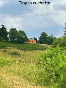 una casa en una colina en un campo en Tiny House LA RUCHETTE en Sembadel