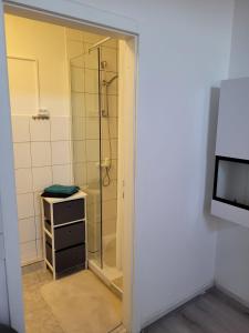 ein Bad mit einer Dusche, einem Waschbecken und einem Spiegel in der Unterkunft Ap 4 35qm bei Oschersleben und Helmstedt in Ausleben