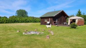 a cabin in a field with a dog in front of it at Kuuseoksa Holiday Home in Viru-Nigula