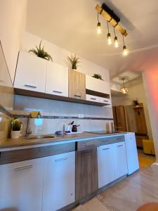 Kuchyň nebo kuchyňský kout v ubytování Nirvana Lux Apartman Zlatar