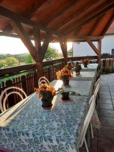 a long table with potted flowers on a deck at Rooms Čehovin in Postojna