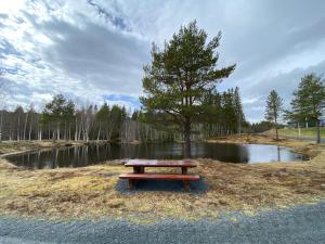 a picnic table sitting in front of a pond at Gresslifoss Camping in Gressli
