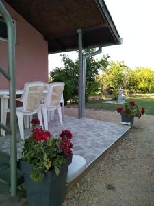 a patio with white chairs and a table with red flowers at Kuca za odmor Harmony in Čurug