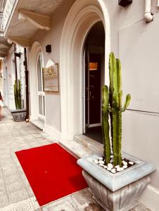 a cactus sitting on a red rug in front of a building at PFA Hotel Viareggio in Viareggio