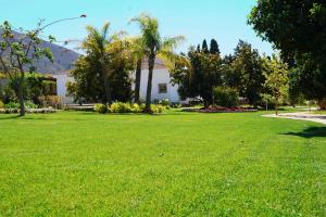 a green yard with palm trees and a building at FINCA YANTAR in Motril