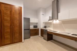 BiBo Suites San Agustín的厨房或小厨房
