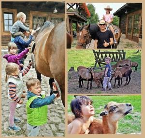 Zwierzęta w gospodarstwie agroturystycznym lub w pobliżu
