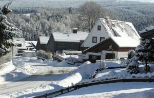 a snow covered yard with a house and trees at Grüne Glocke in Altenau +13 photos