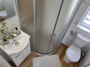 W łazience znajduje się prysznic, umywalka i toaleta. w obiekcie Domek u Litwinów w mieście Lipowiec