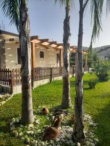 Zahrada ubytování Casa vacanze Il Salice