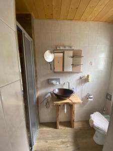Koupelna v ubytování Alpenappartements Schwalbennestl