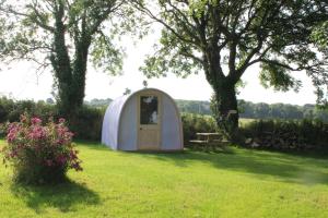 Gallery image of The Pod Garden in Newquay