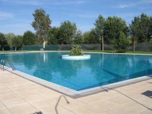 una gran piscina con una planta en el medio en Complejo La Cigüeña, en Arganda del Rey