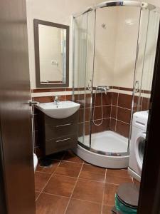 a bathroom with a shower and a sink and a toilet at The Old Town Terrace Apartments in Budva