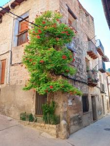 ベセイテにあるApartamento Burguésの赤花の建物脇の木