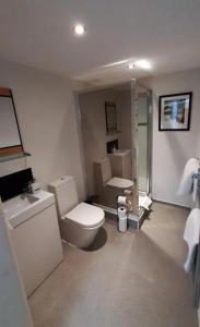 a bathroom with a white toilet and a shower at Deva Leisure in Chester +118 photos
