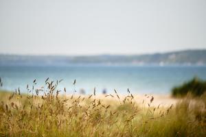a field of grass with a beach in the background at Finest Retreats - Primrose Cottage in Tywardreath