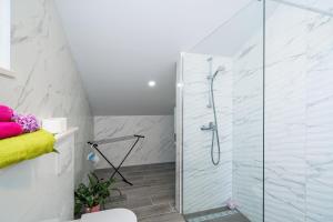 ein Bad mit einer Dusche und einer Glastür in der Unterkunft Apartments Amalija in Čilipi